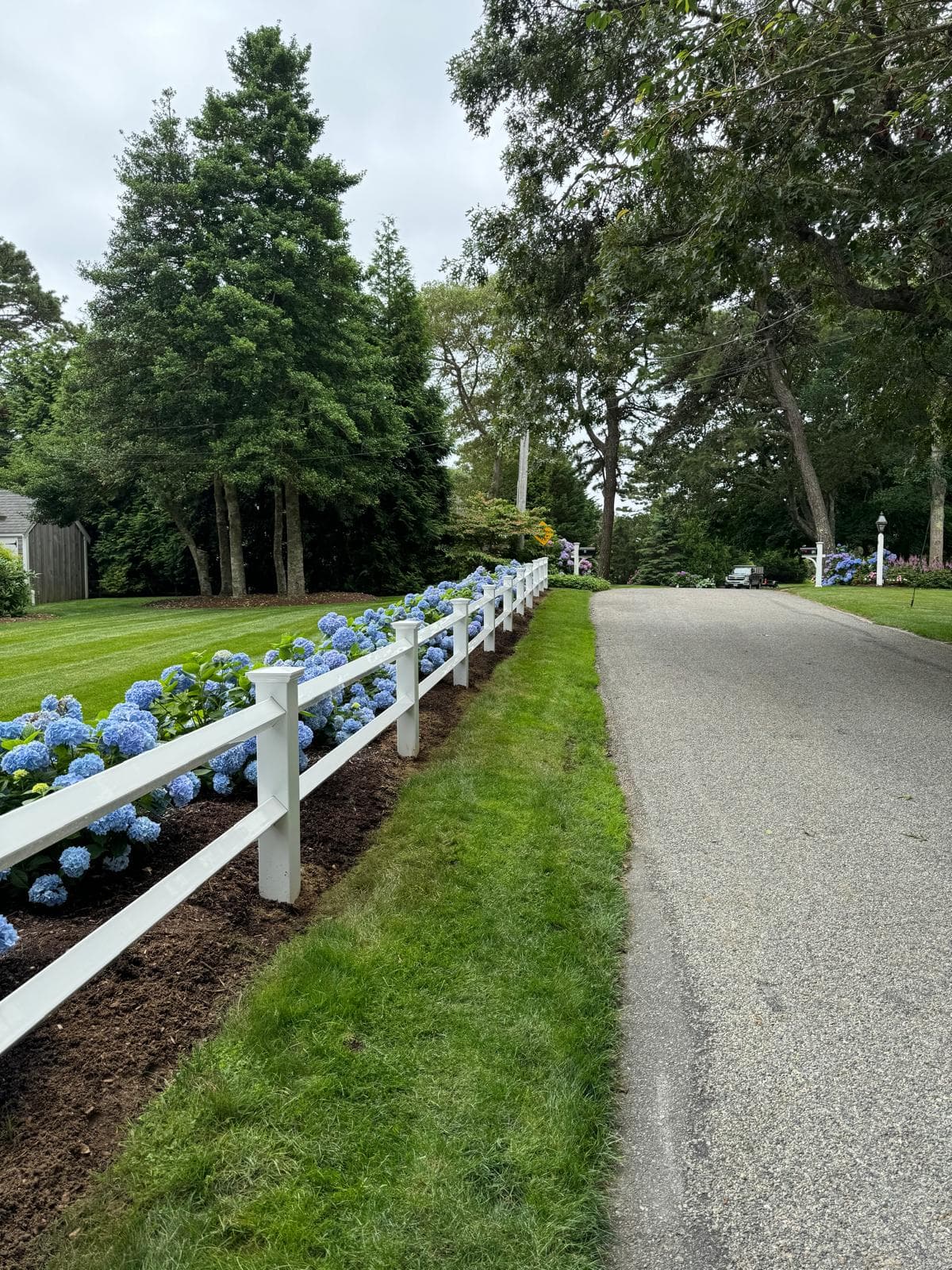 White vinyl post-and-rail fence with blue hydrangeas, Cape Cod setting