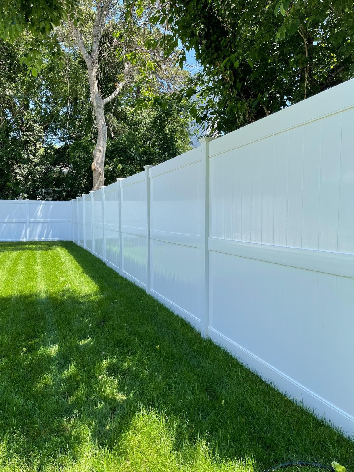 White vinyl privacy fence on bright green lawn, sunny residential setting